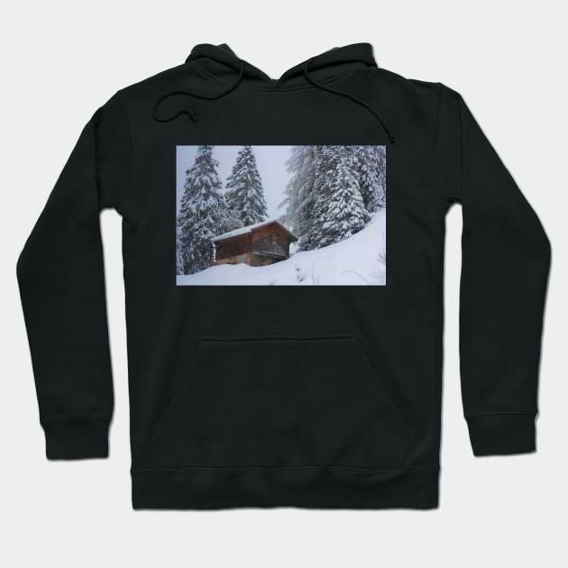 Snowy Landscape with Cabin Hoodie by econaki